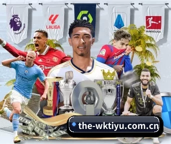 the-wktiyu.com.cn APP